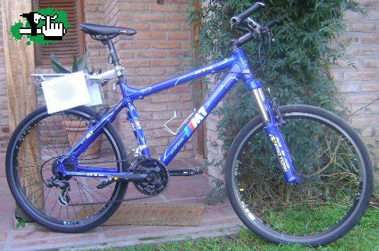 fedemonti