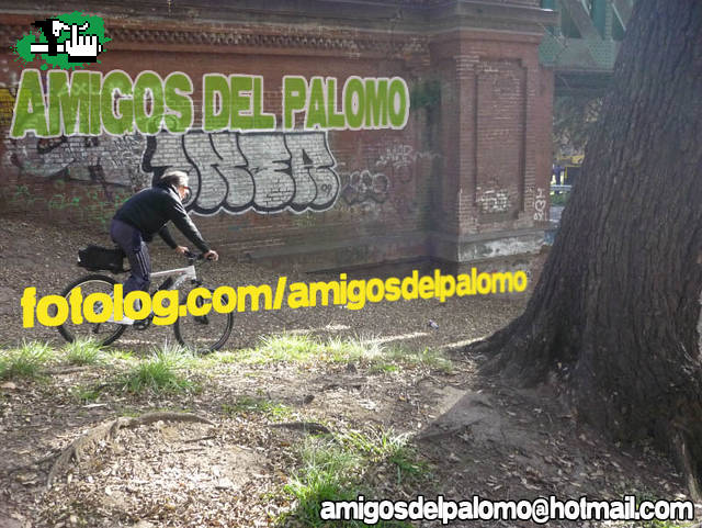 SALIDA A... OLIVOS¿?