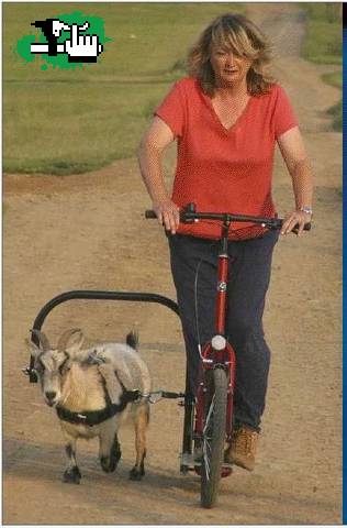 Muy practico para pasear