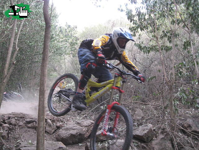 entrandooo
