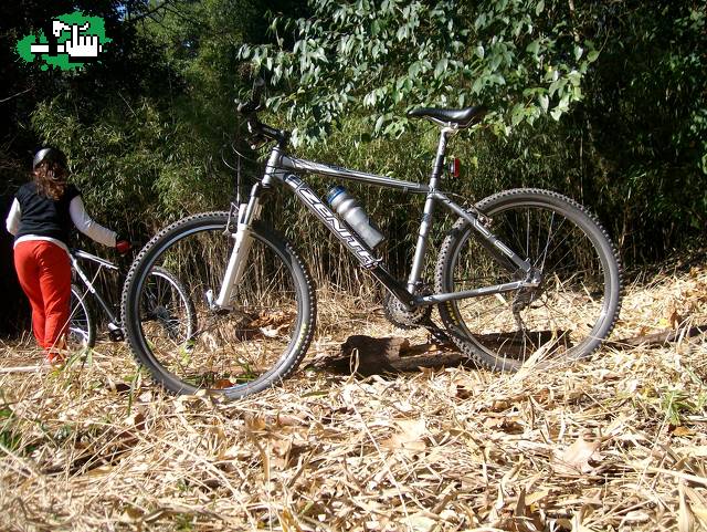 nueva bike