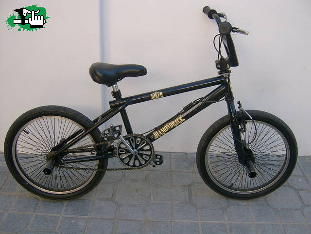 gallego1