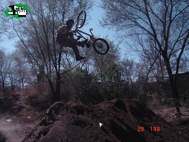 taywhip