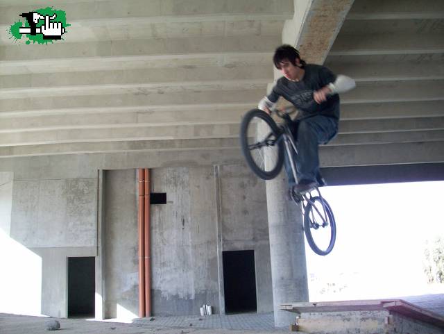 wolf saltando