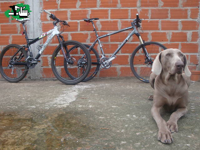 las de mtb