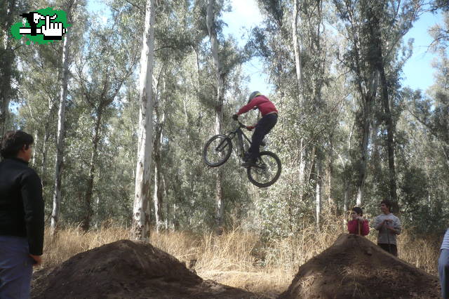 cambria en el doble