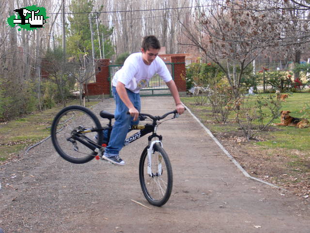 BOLUDIANDO
