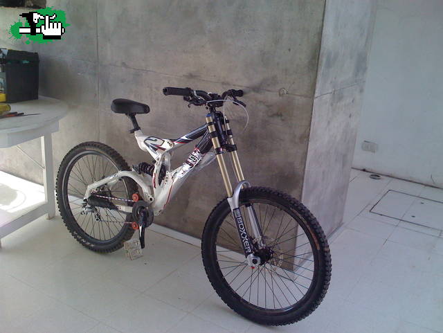 Mi scott 