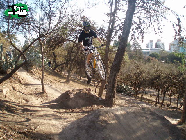 mini dh