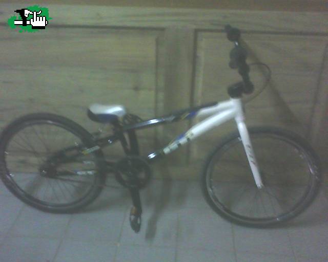 GT 08  QUE OPINAN????????