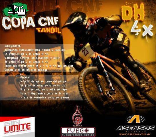 TANDIL DH Y 4X