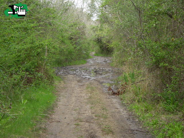LOS 3 CHIFLADOS DEL PEDAL: BARRO EN PEREYRA Y SELVA DE HUDSON