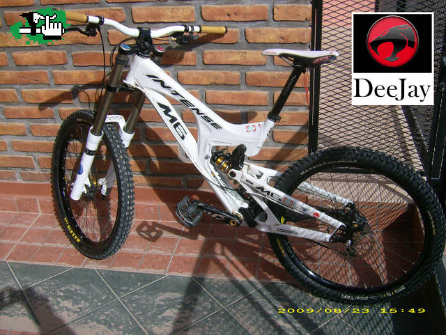 dcoyotej
