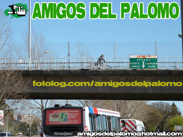12-SEP-09/ NONO LA RESURRECCION!!!