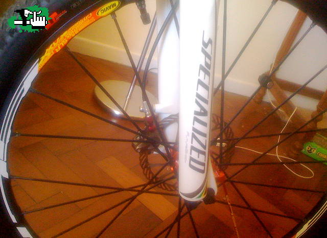 Specialized FUTURE SHOCK 100