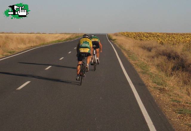 Frenando la fatiga (BCAA) 1