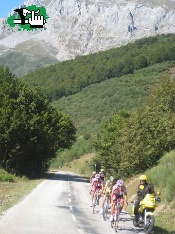 Frenando la fatiga (BCAA) 3