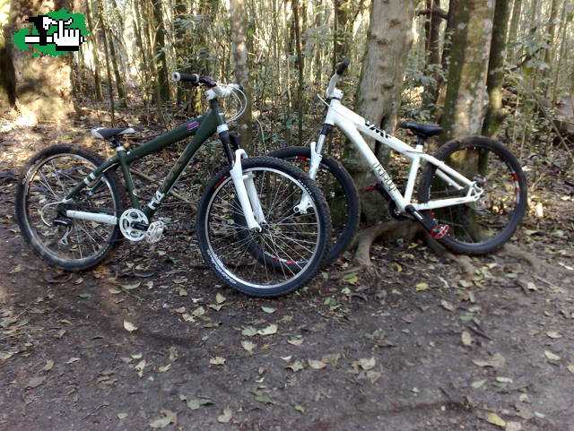 Team