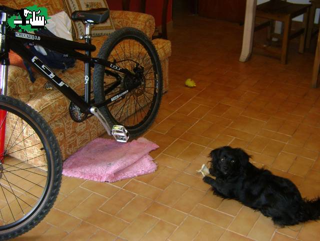 ALTO GUARDIAN