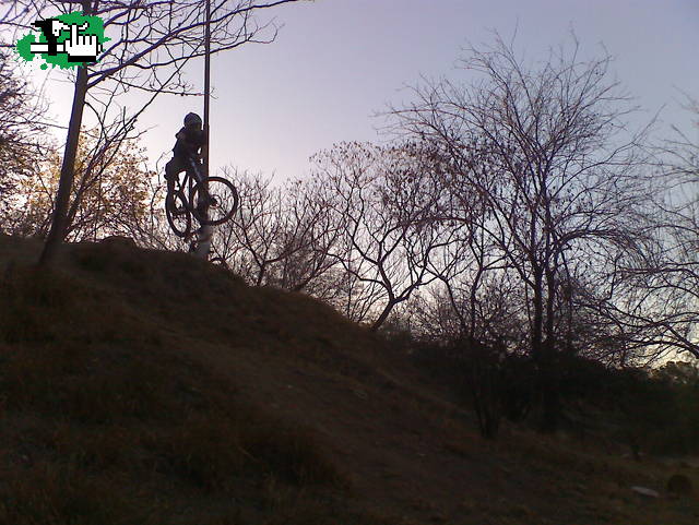 MINI DH