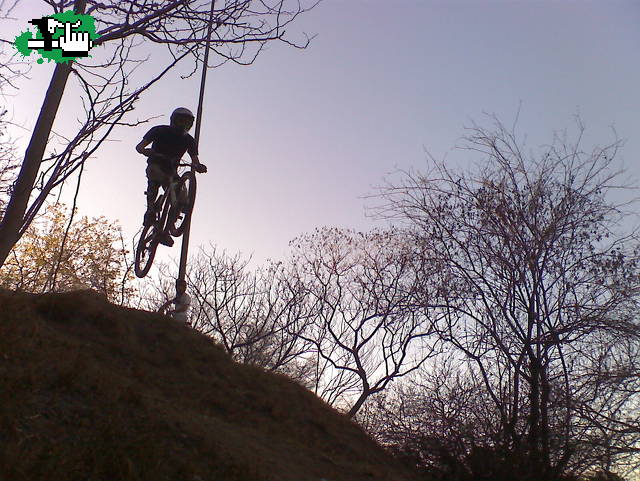MINI DH
