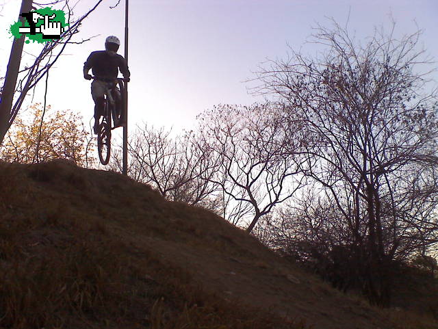MINI DH