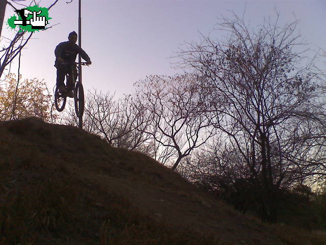 MINI DH