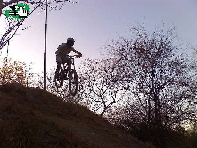 MINI DH