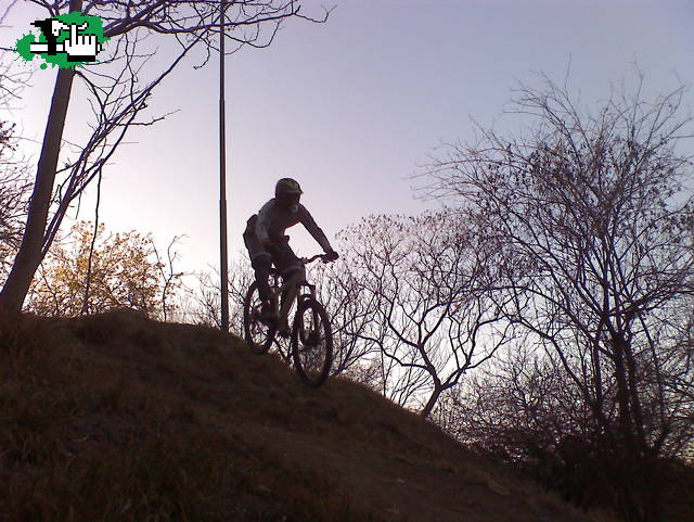 MINI DH