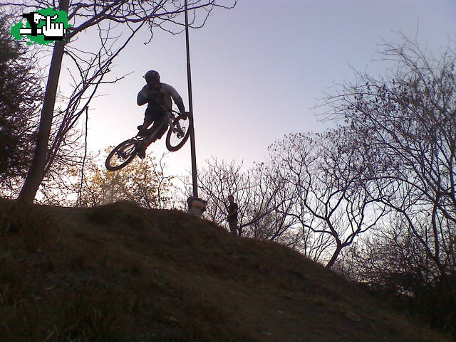 MINI DH