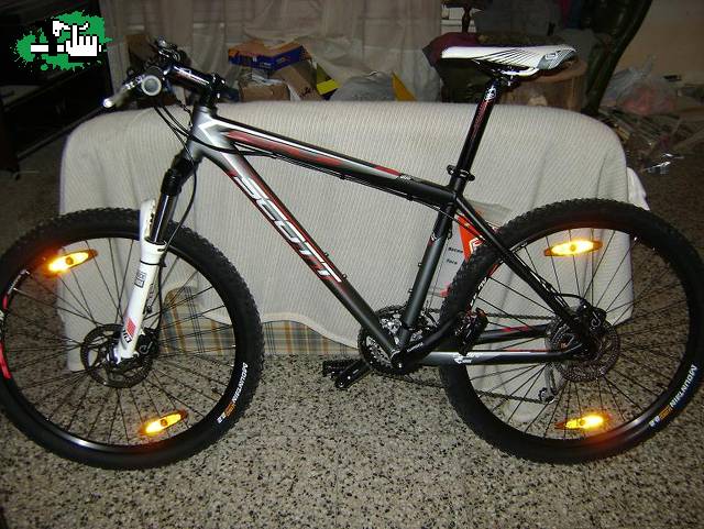 scott scale 60