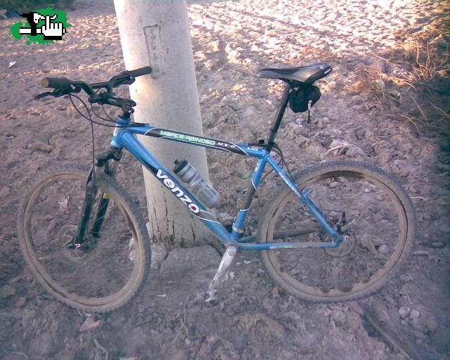 venzo -MX6