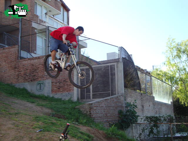 Goyo