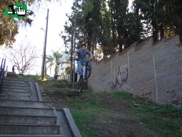 Maxxi