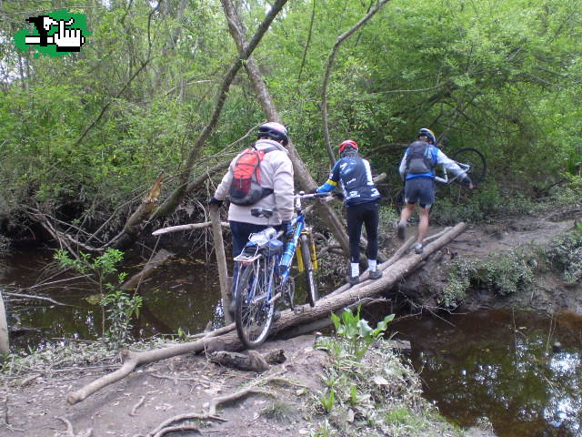 Los 3 chiflados del Pedal: Selva de Hudson, en busca de la costa