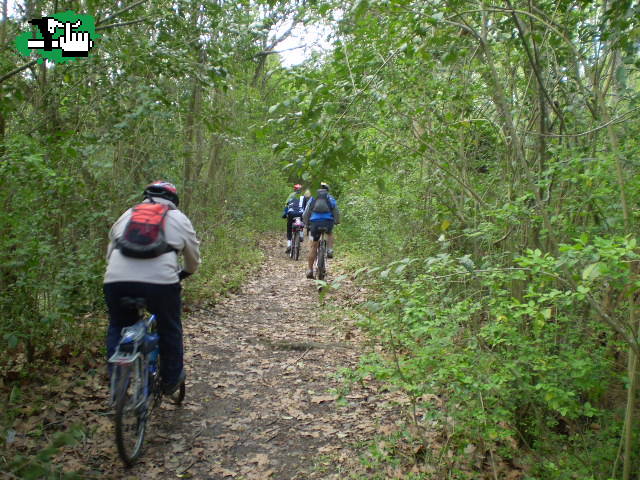 Los 3 chiflados del Pedal: Selva de Hudson, en busca de la costa