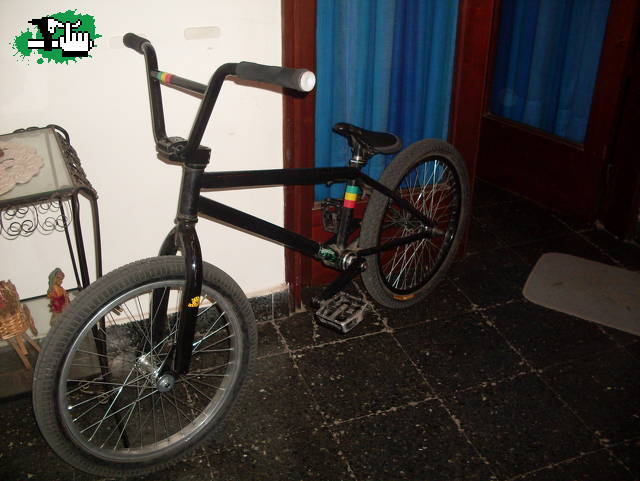BIKEE CHECK!