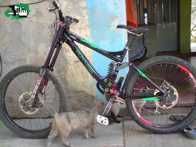 la iron de javier
