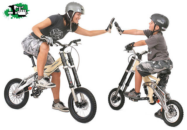 POCKET DH BIKE