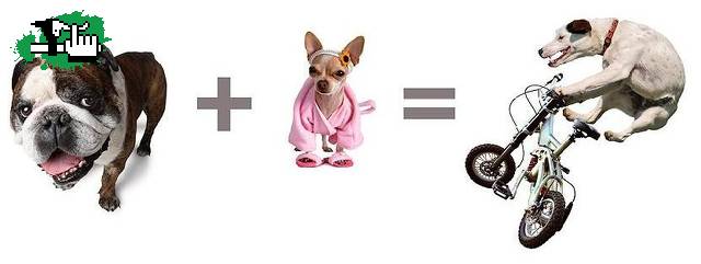 LA FORMULA DE LA POCKET DH BIKE