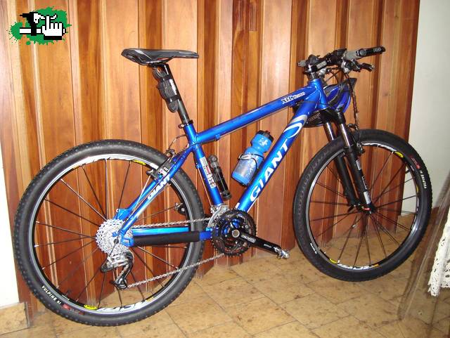 Puesta a punto para una vuelta a las pistas