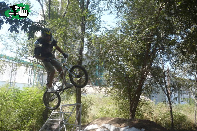 alee 360"