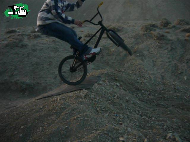nico barpin