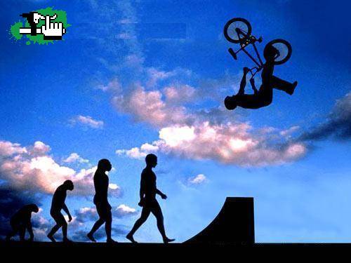 jeje Evolucion Biker