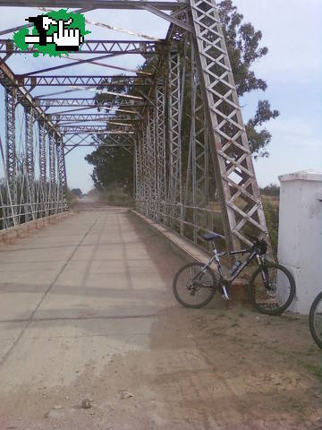 Leones-Puente