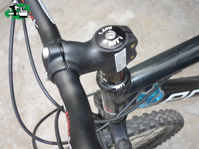 nuevo stem