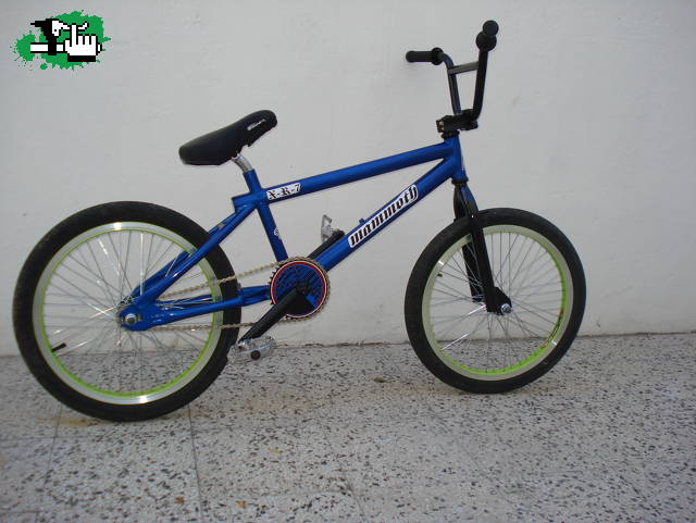 Mi vieja bike