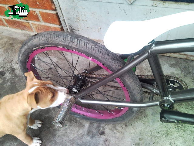 OTRA DE MI BIKE