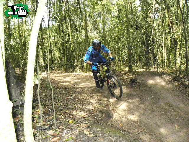 parque pereyra