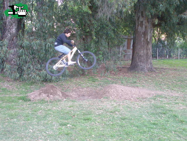 saltutis..
